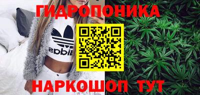 гидра Свободный