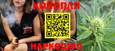 гидра Свободный