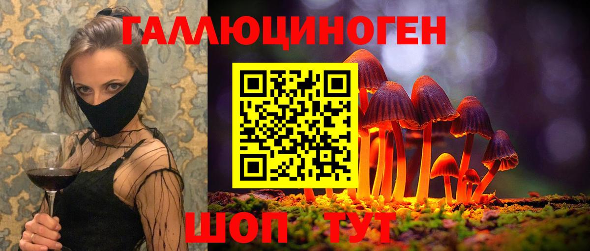 Петропавловск-Камчатский  Псилоцибиновые грибы Magic Shrooms  Вход с VPN 